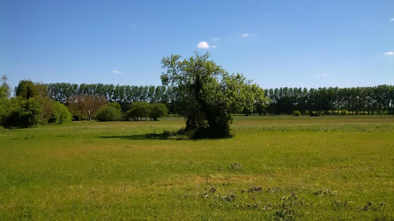 Gite Et Chambres D'Hotes Le Chene Billault Pouant Exterior photo